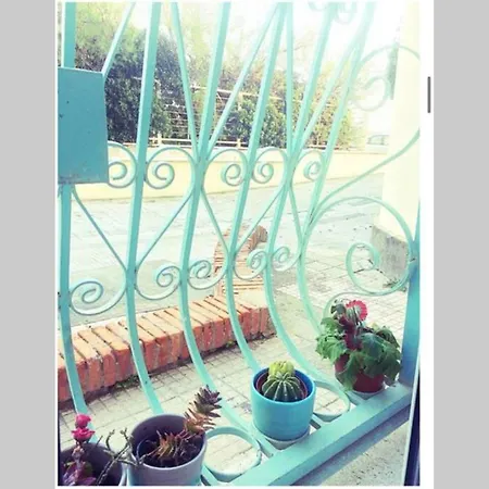 Cosy Studio Flat On The Seaside Apartment *